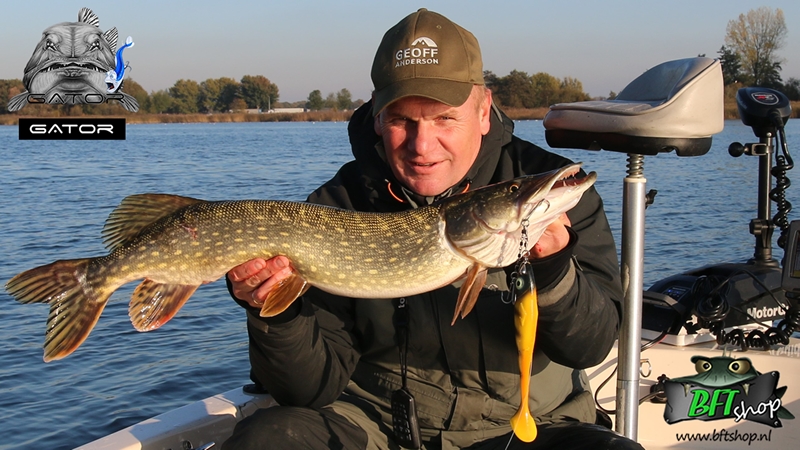 Nieuwe sensatie voor shallow-screwed shads – Gator Gum