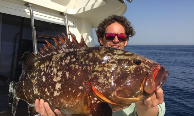 Tom’s Catch – Visdroom op maat