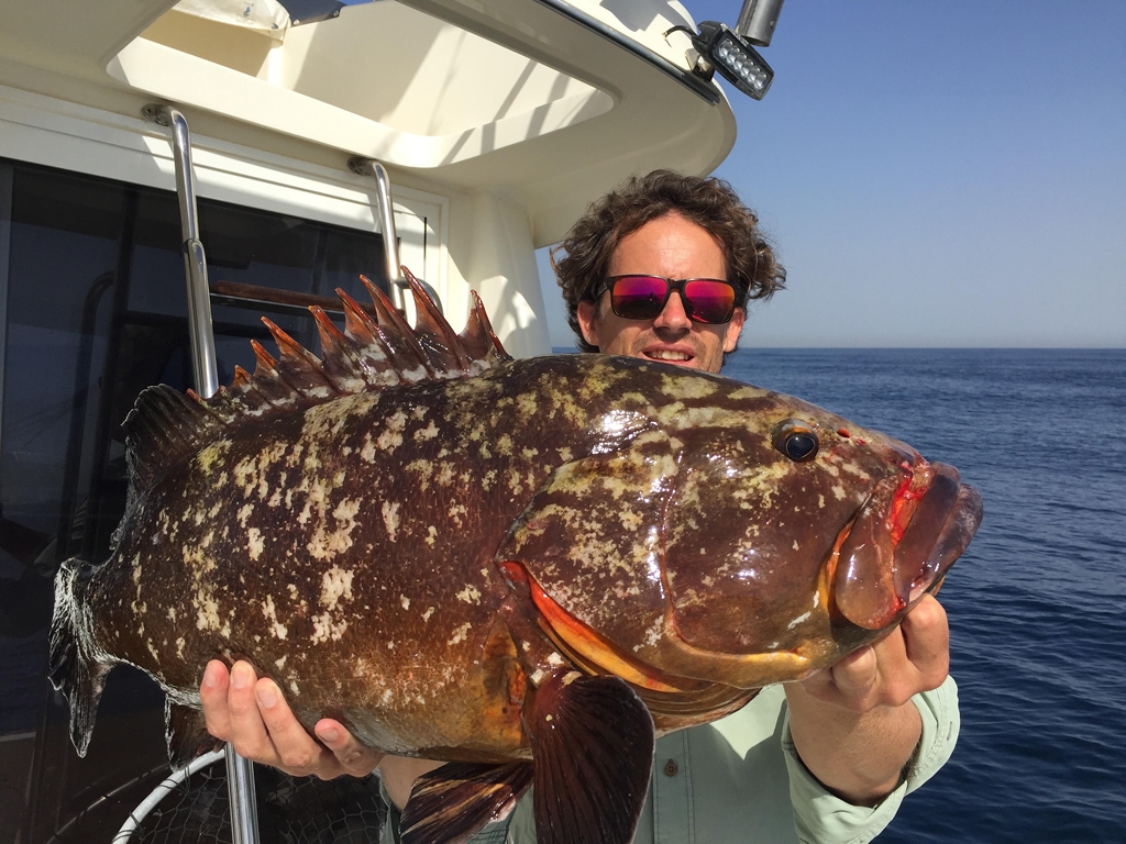 Tom’s Catch – Visdroom op maat