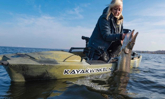 Zo zorg je voor een succesvolle release van roofvis – Onderzoeker Sophie Neitzel
