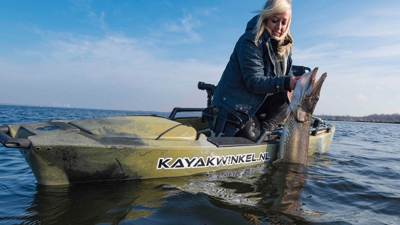 Zo zorg je voor een succesvolle release van roofvis – Onderzoeker Sophie Neitzel