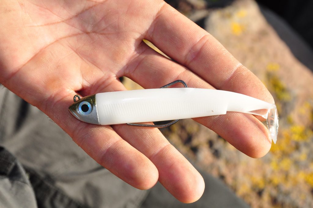 De Black Minnow Shad, de ultieme zeebaarsshad