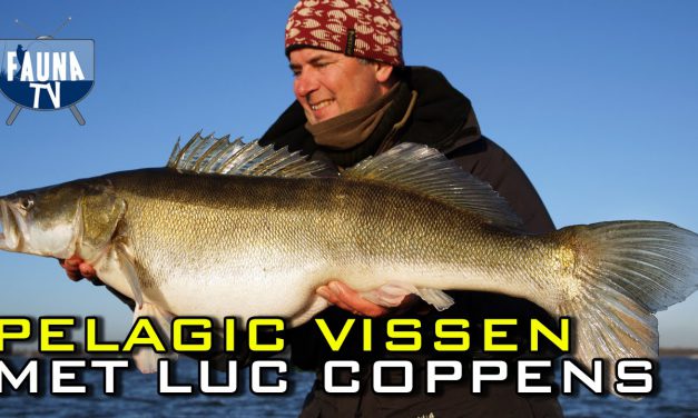 Pelagisch met Coppens