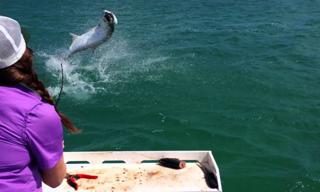 Tips voor het drillen van tarpon