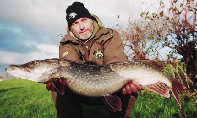 Snoekvideo: POLDERMODELLEN – Davey & Richard Gans