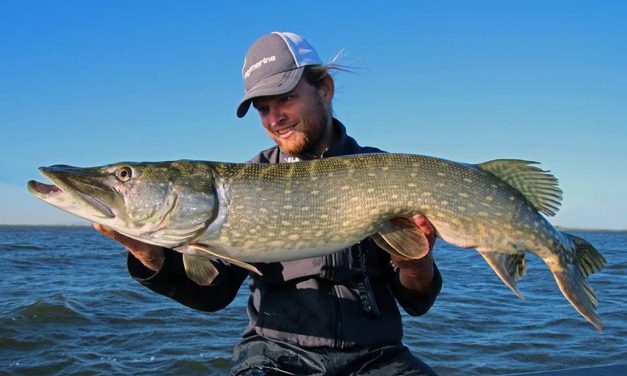 5 dingen die je moet weten over de LURE MASTERS