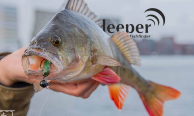 Deeper met VisTD