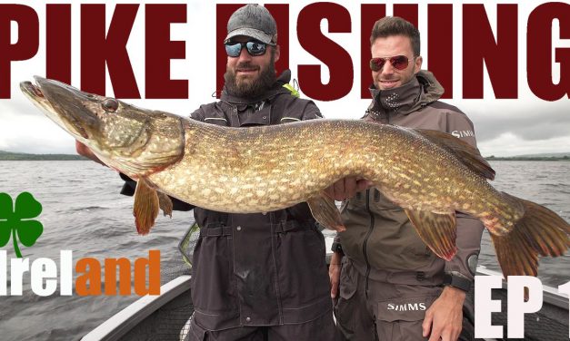 Italianen met IERSE SNOEK als mikpunt