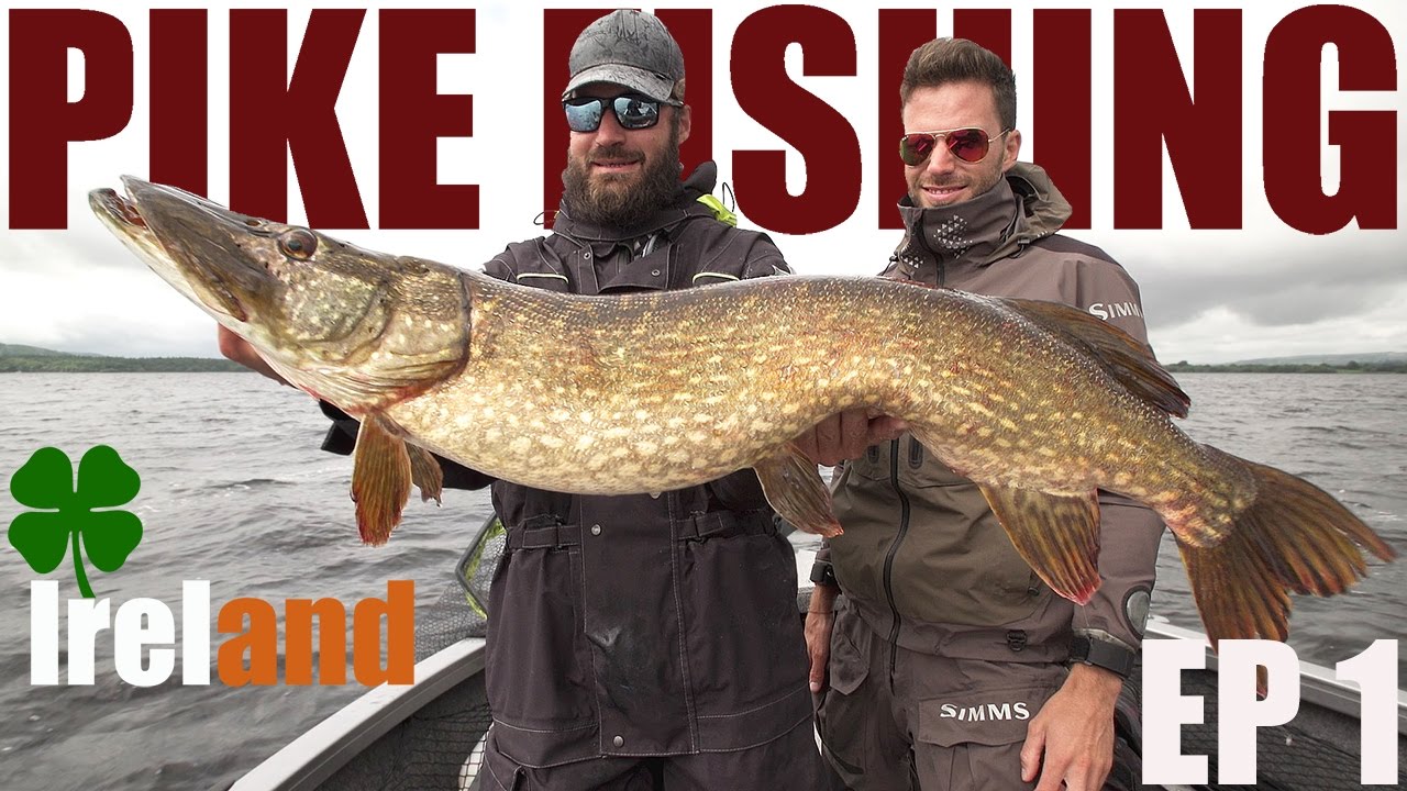 Italianen met IERSE SNOEK als mikpunt