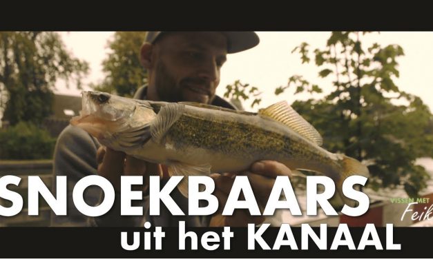 Vistuig op snoekbaars