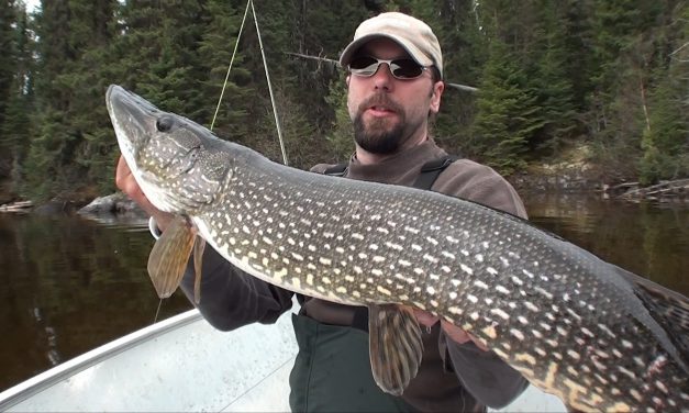 Bizarre SNOEK film – White River Air Pike
