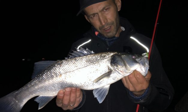 Zo vang je NAJAARS ZEEBAARS op de PIER bij IJmuiden