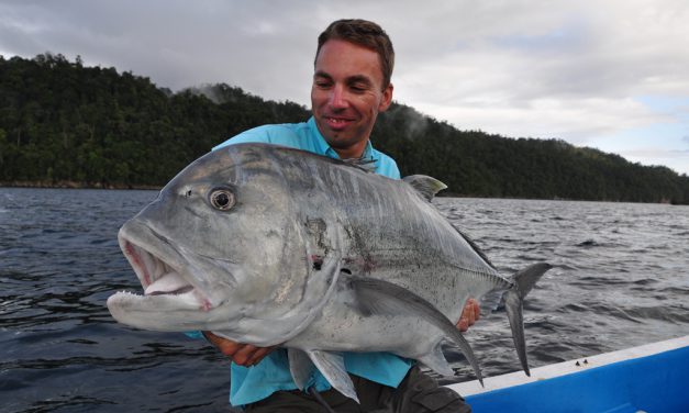 GT, Tarpon en tonijn in de Noordzee