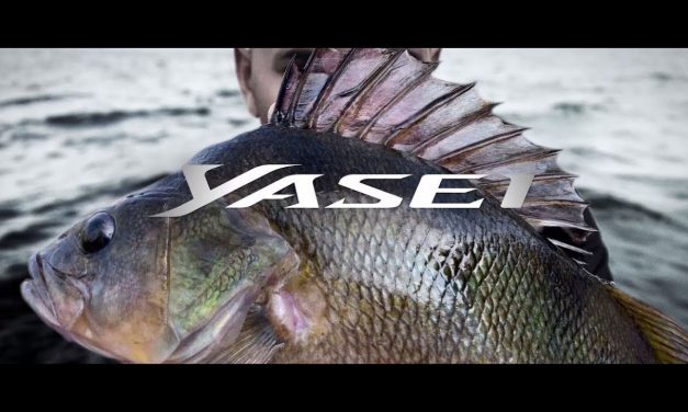 Yasei 2.0 – Hengels voor elke roofvisdiscipline