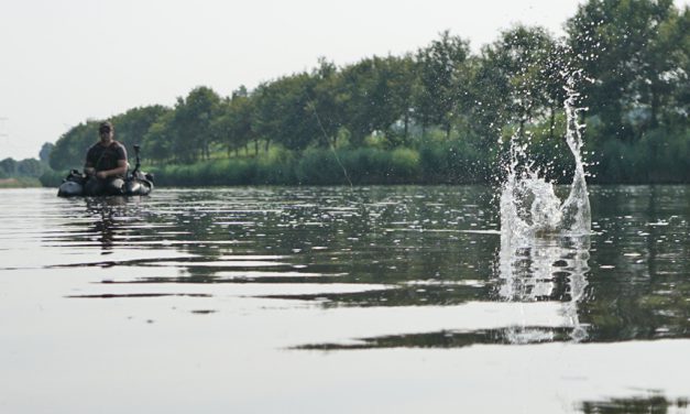 Deel 2 baarzen zoektocht ***3 grote baarzen tips***VIDEO***