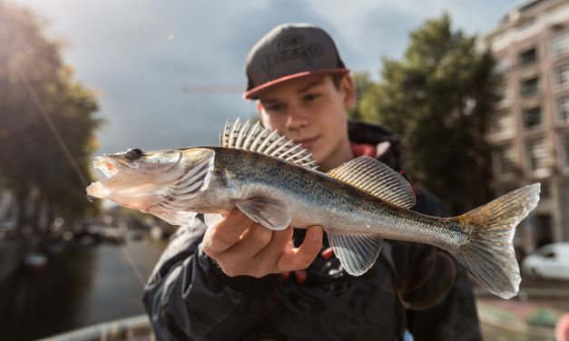 ***Video-Kijk-Tip*** Streetfishing in Amsterdam