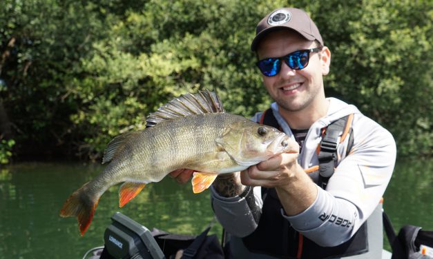 Playing-hard-to-get-XXL-BAARS – 5 tips voor grote baars