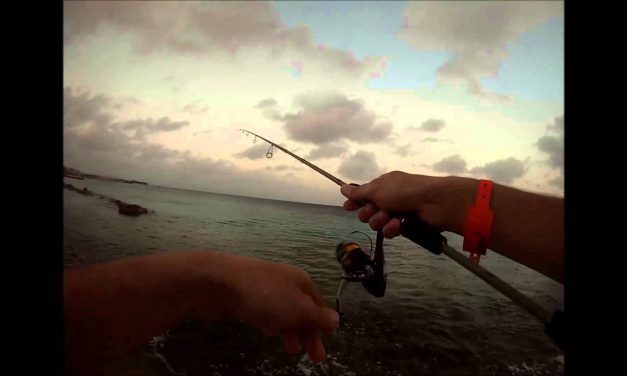 Rotsvissen – ook wel light rockfishing genoemd