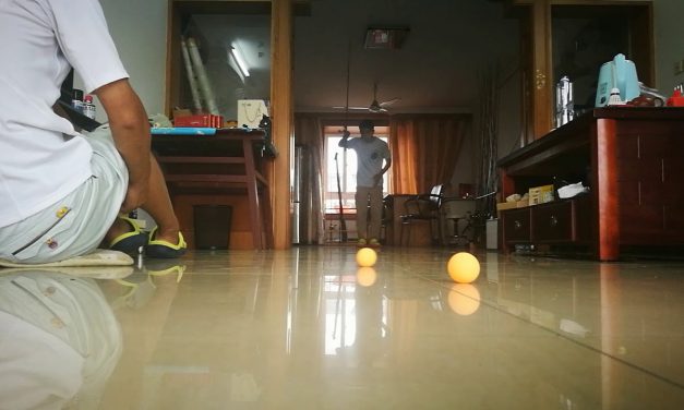 Ping Pong vissen