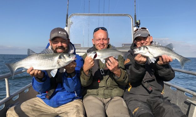 OMG – 180 zeebaarzen op 1 dag – ***VIDEO***