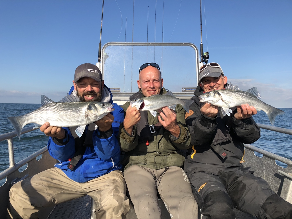 OMG – 180 zeebaarzen op 1 dag – ***VIDEO***