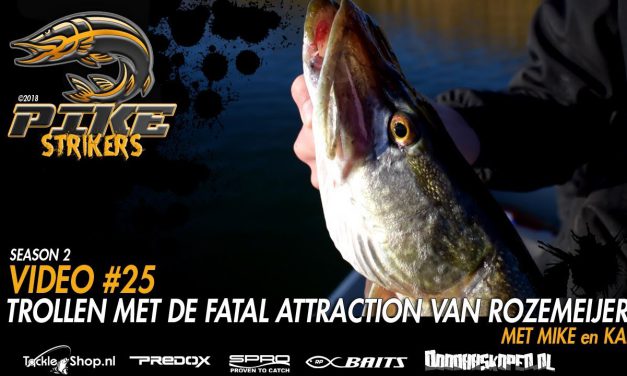 Net alsof je aan het vissen bent met Team Pike Strikers