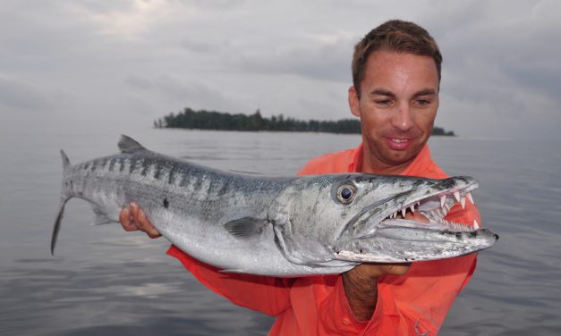 TOP 5 ZUPER DUPER BESTEMMINGEN VAN WERELDVISSER ANDRÉ DE WIT (NUMMER 2 West-Papua)