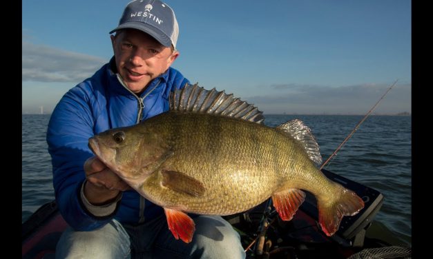 Baarzen met WAUW-factor – Simon Torenbeek meets JB Predator Fishing