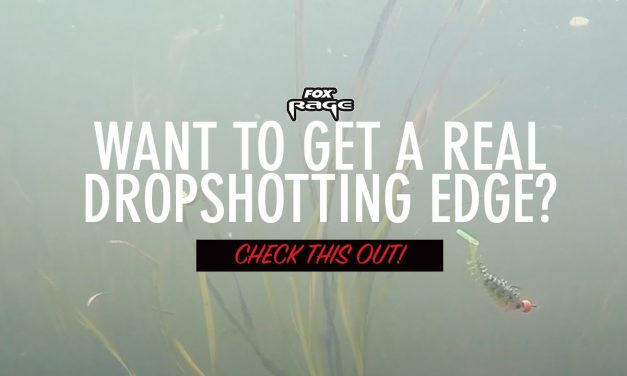 Boost je dropshot rig
