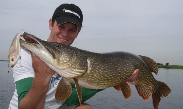 100% SNOEKMACHINE – Supersessie met Robert-Paul Wolters