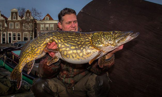 Doodaasvissen op grote snoek – 5 tips om hem veilig te landen