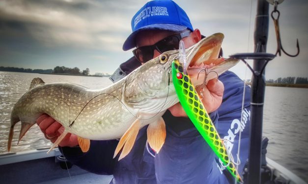 Hooked on (1)… – Groot ‘klein’ water