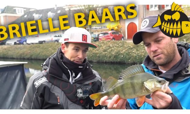 De schatkaart van Brielle – Baars op zicht