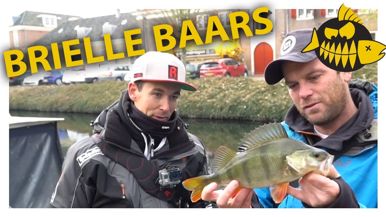 De schatkaart van Brielle – Baars op zicht