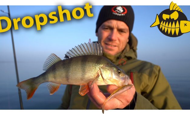 Dropshotten met Evert Oostdam