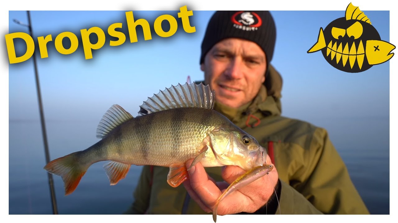 Dropshotten met Evert Oostdam