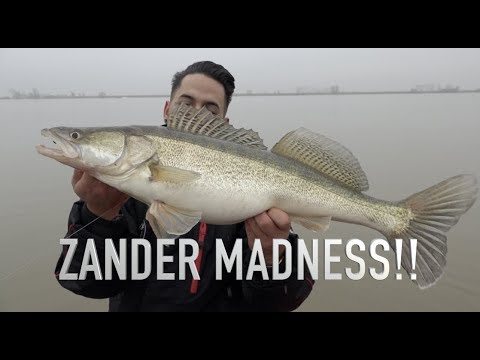 Jordi Rakiman meets Simon Torenbeek – Zanderrrrr time