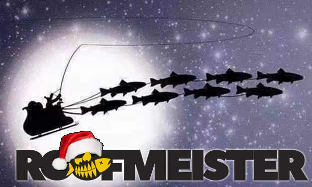 ROOFMEISTER INSIDE – WEEK 51