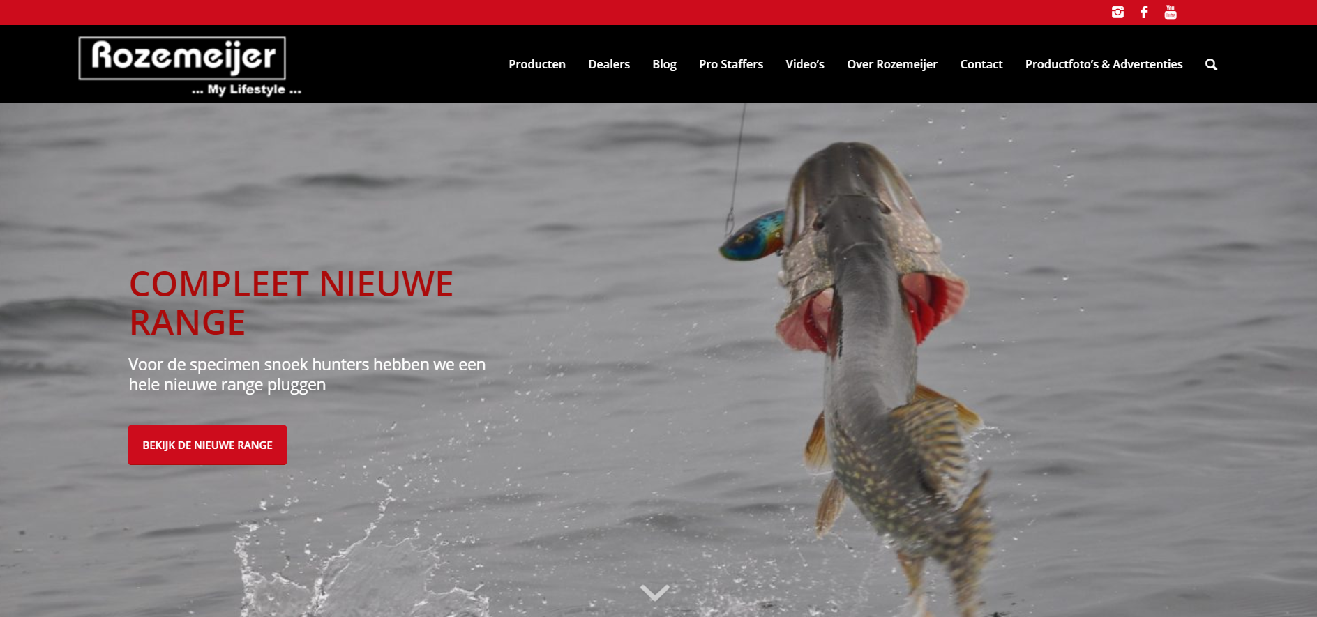 Nieuwe flashy website Rozemeijer