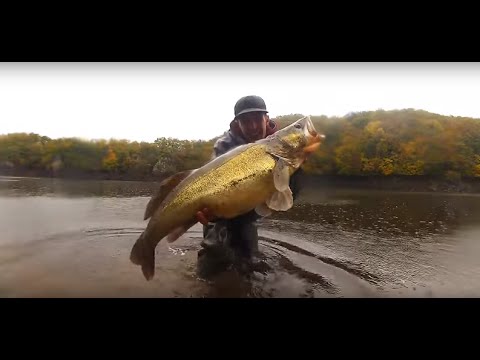 Snoekbaars van 102 cm!!!