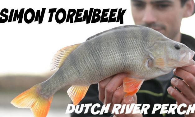 Vlogger Simon Torenbeek onder de loep