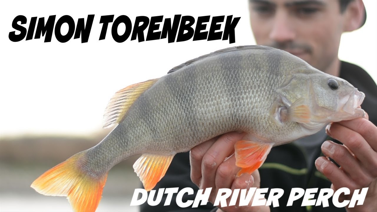 Vlogger Simon Torenbeek onder de loep