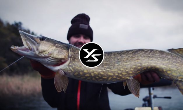 Grote snoek in Zweden
