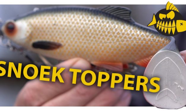 De snoektoppers van Luc Coppens