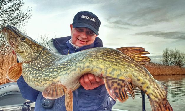 Hooked on snoek (2)… –  Biggen en vogelpoep