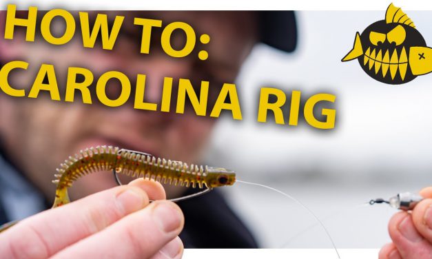How to: Carolina rig van A tot Z met LUC COPPENS