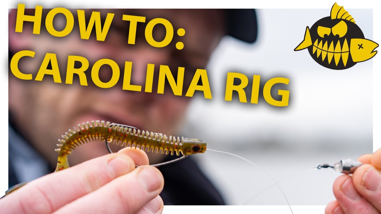 How to: Carolina rig van A tot Z met LUC COPPENS