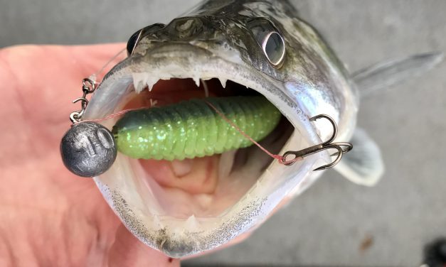 TACKLE MEISTER REVIEW – Stevige, attractieve snoekbaarsshad