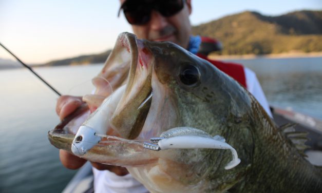 ROOFMEISTER TOP GEAR #9 – Slim vissen, een triple shad en het verhaal achter de Salmo Hornet
