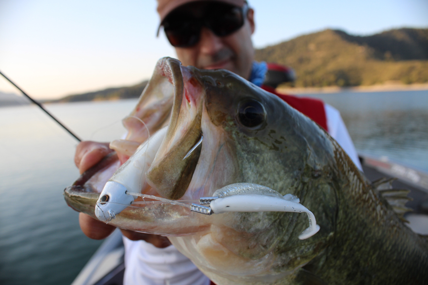 ROOFMEISTER TOP GEAR #9 – Slim vissen, een triple shad en het verhaal achter de Salmo Hornet